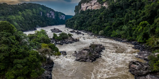 Mdel a melhor empresa de software em araracuara - foto turísitca de Araraquara